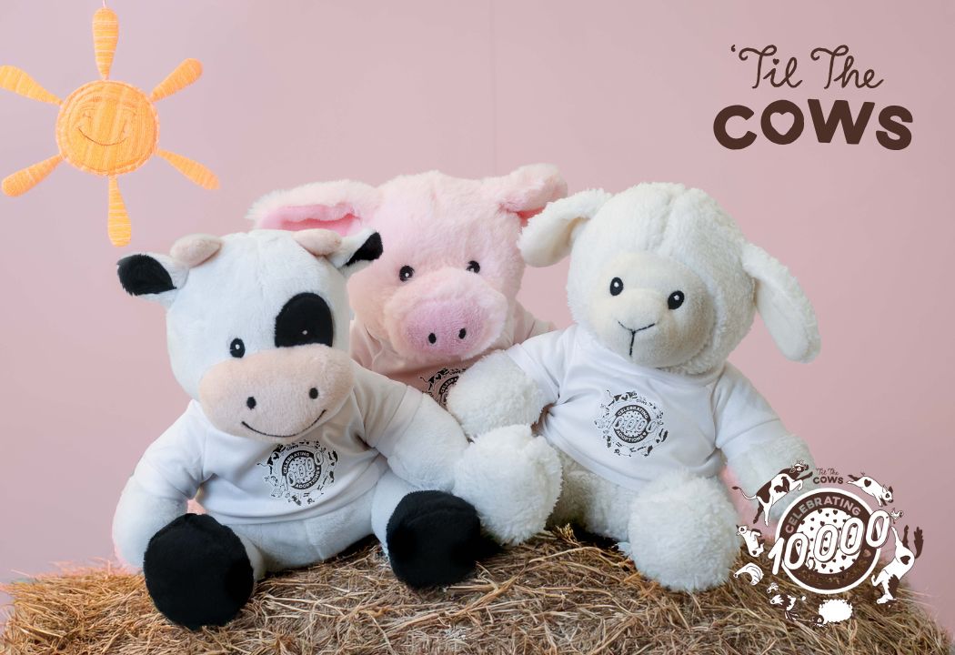 Bringing Characters to Life – A Branding Campaign for ‘Til The Cows Come Home’
